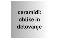 Ceramidi - oblike in delovanje